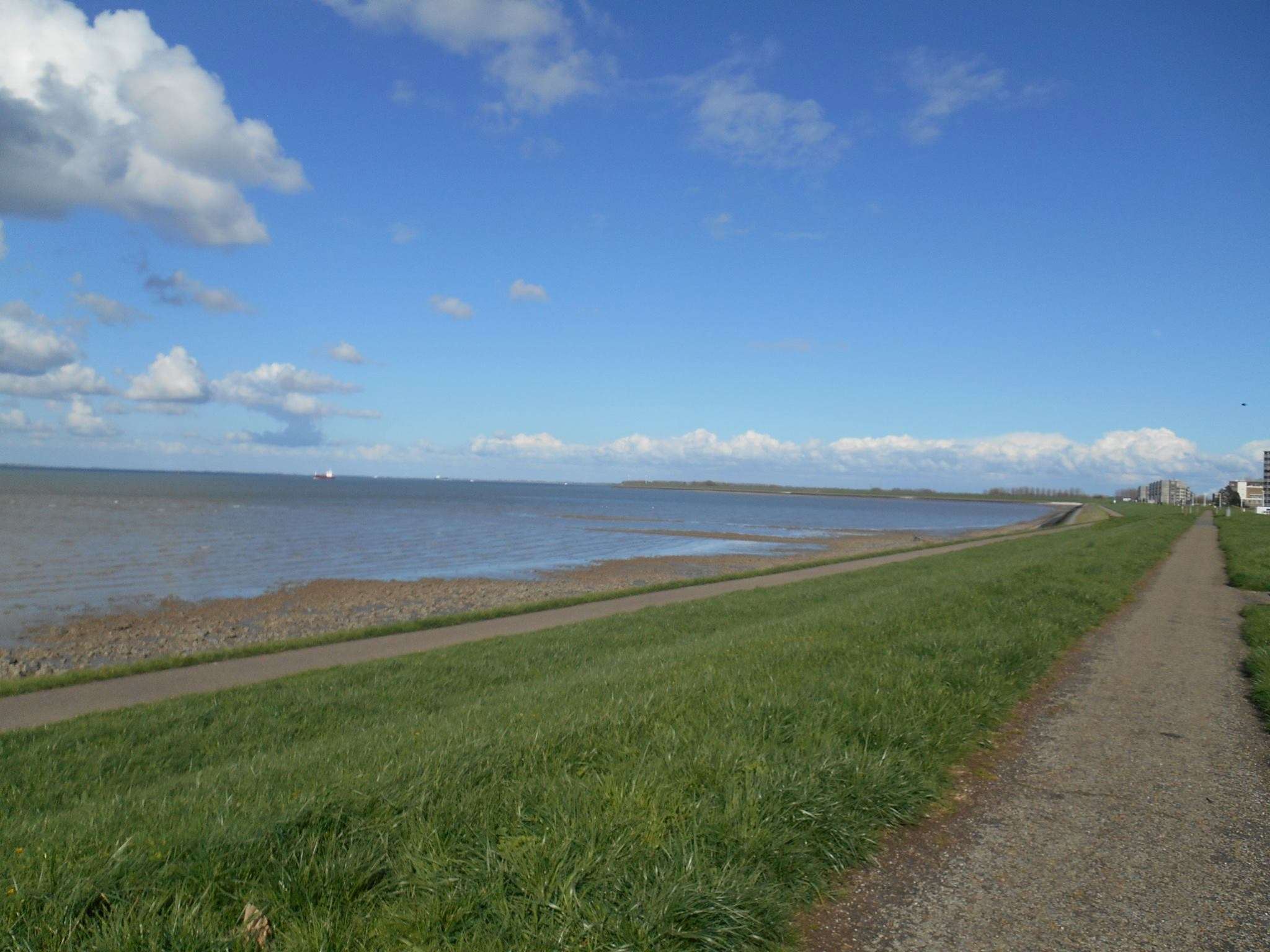 Hotel Golden Tulip L Escaut