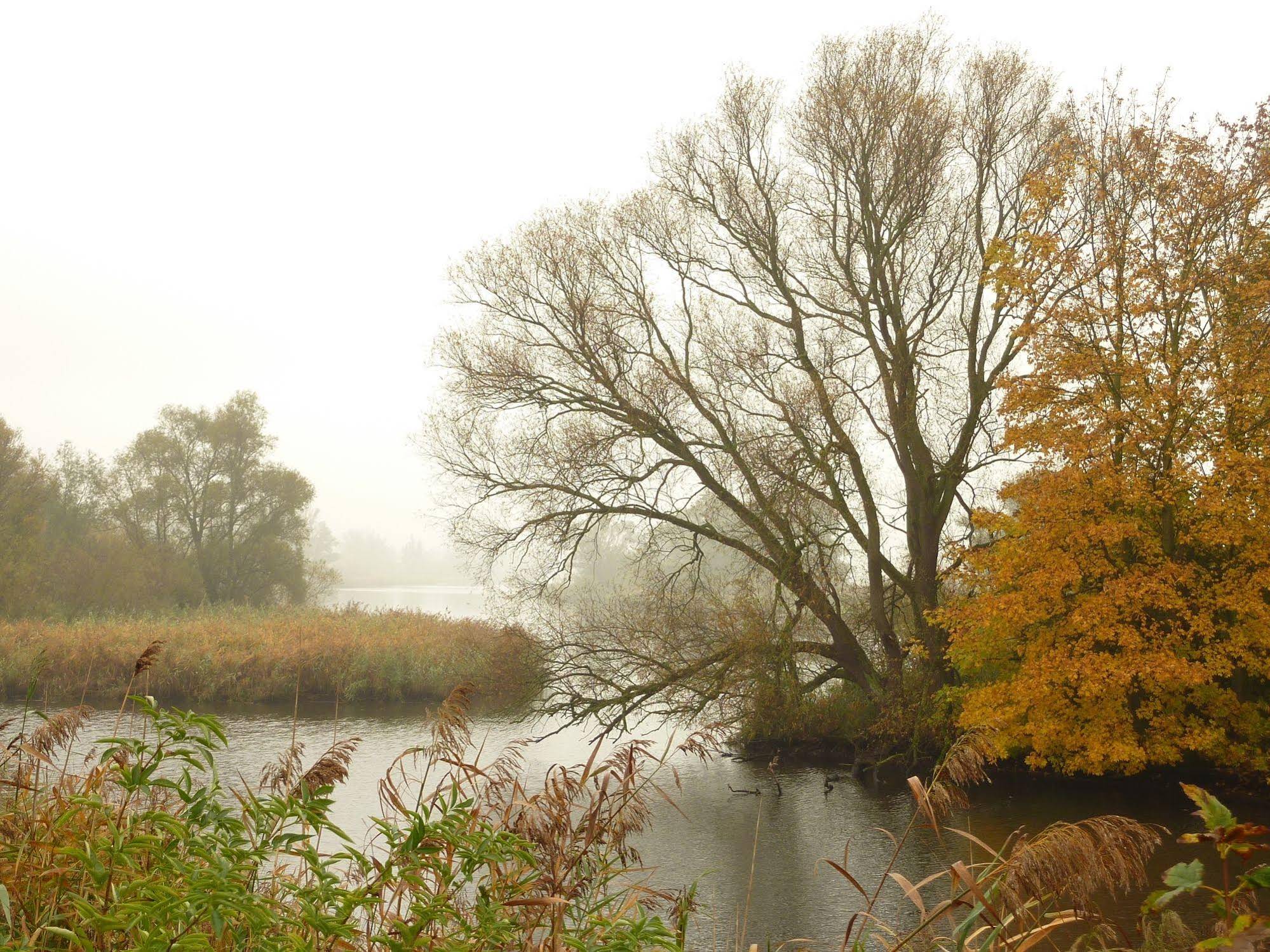 Logis Hotel De Brabantse Biesbosch