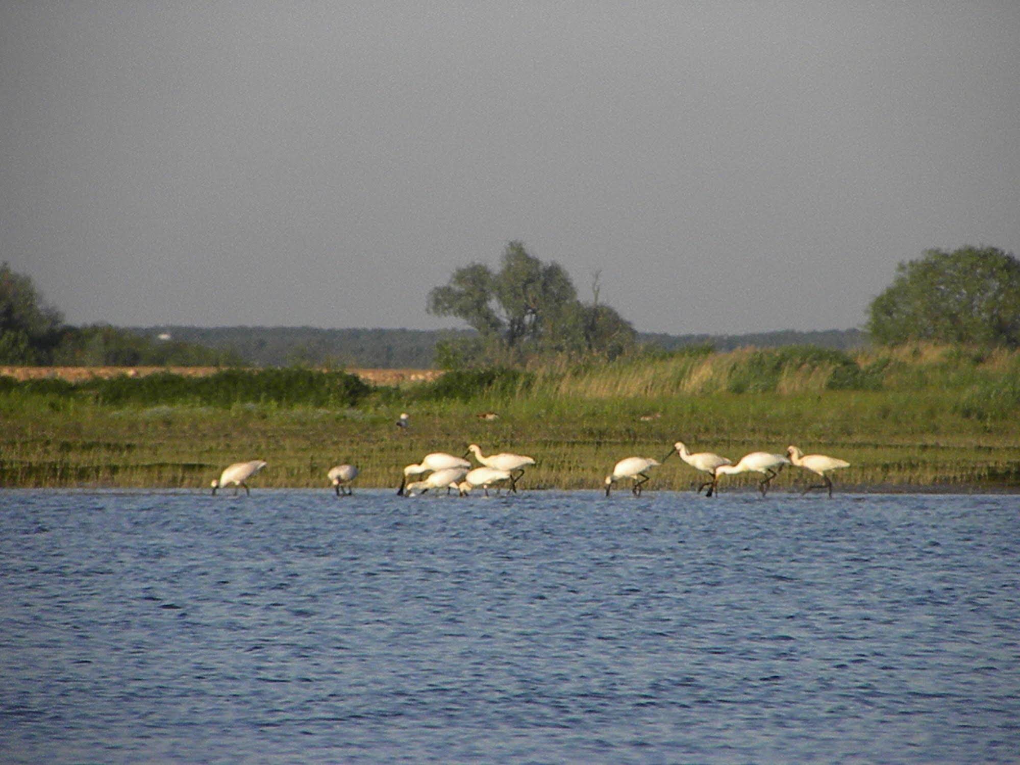 Logis Hotel De Brabantse Biesbosch