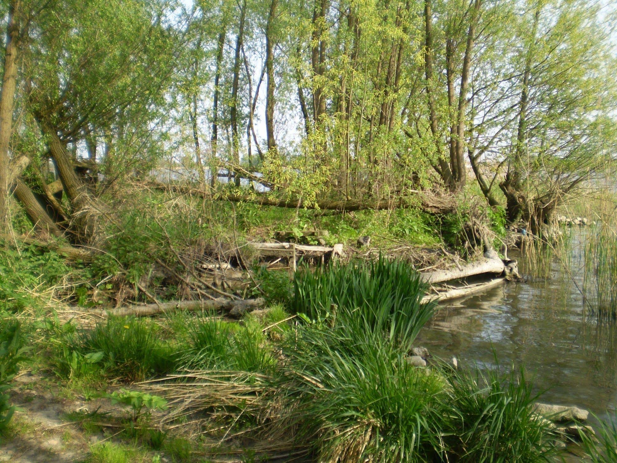 Logis Hotel De Brabantse Biesbosch