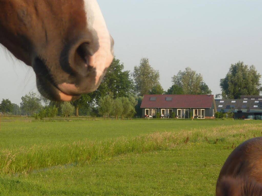Boerderij De Verwondering