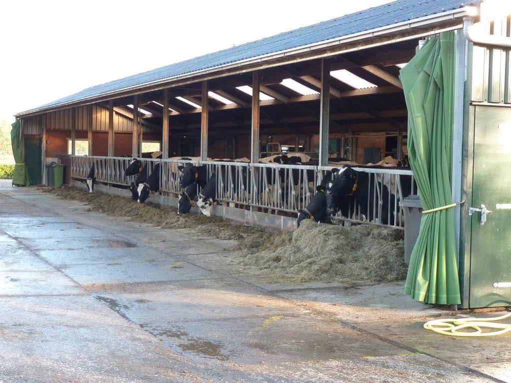 Boerderij De Verwondering
