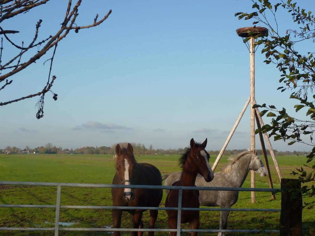 Boerderij De Verwondering