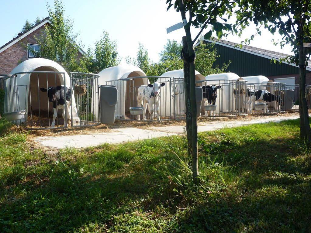 Boerderij De Verwondering