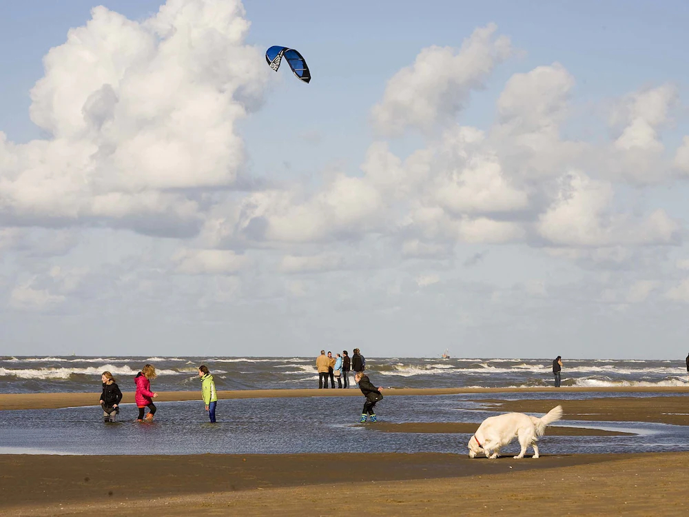 Authentic Jutters House