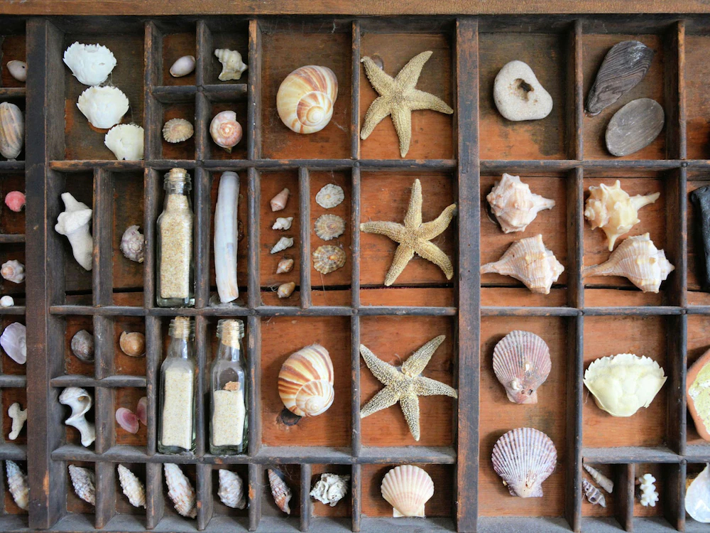 Authentic Jutters House