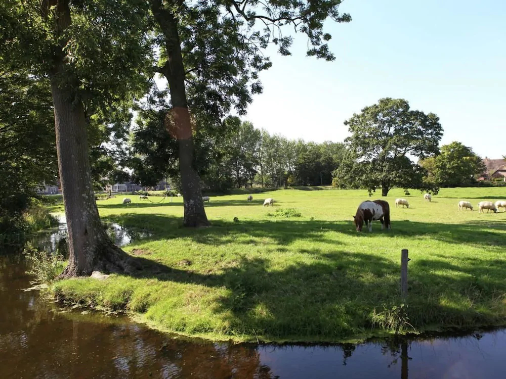 Appartementen Rijnhoeve