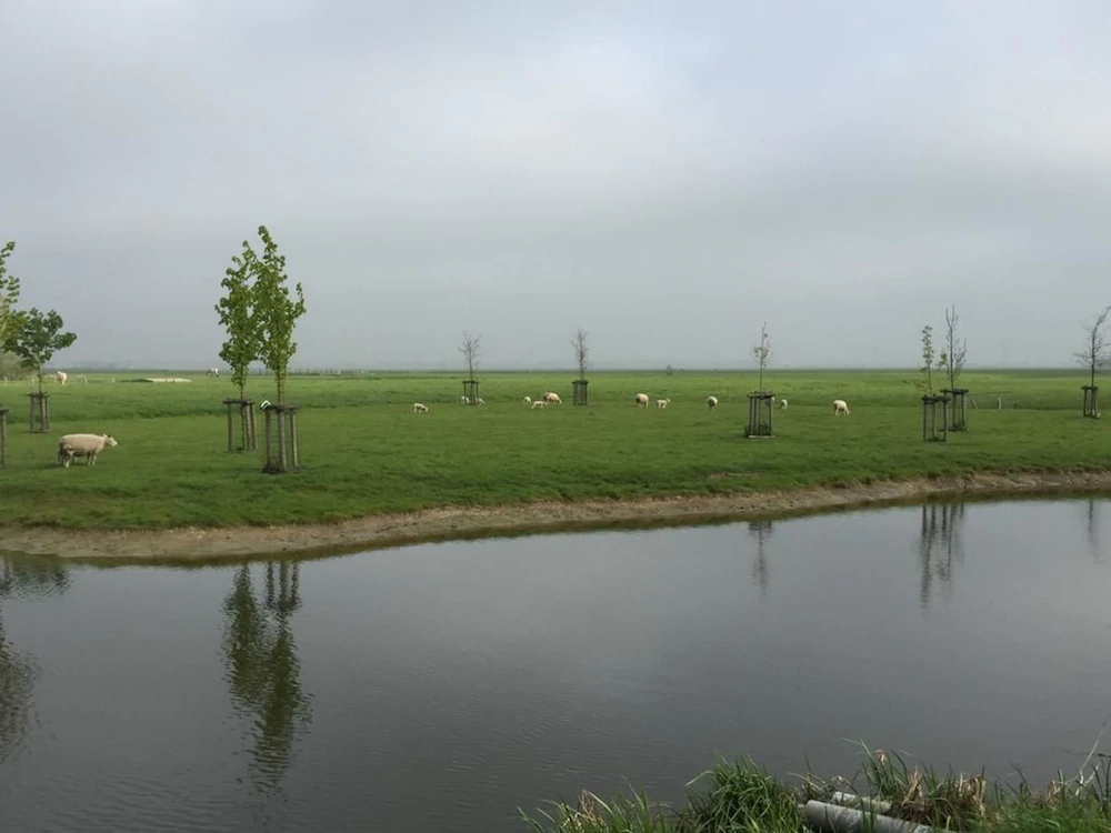 Appartementen Rijnhoeve