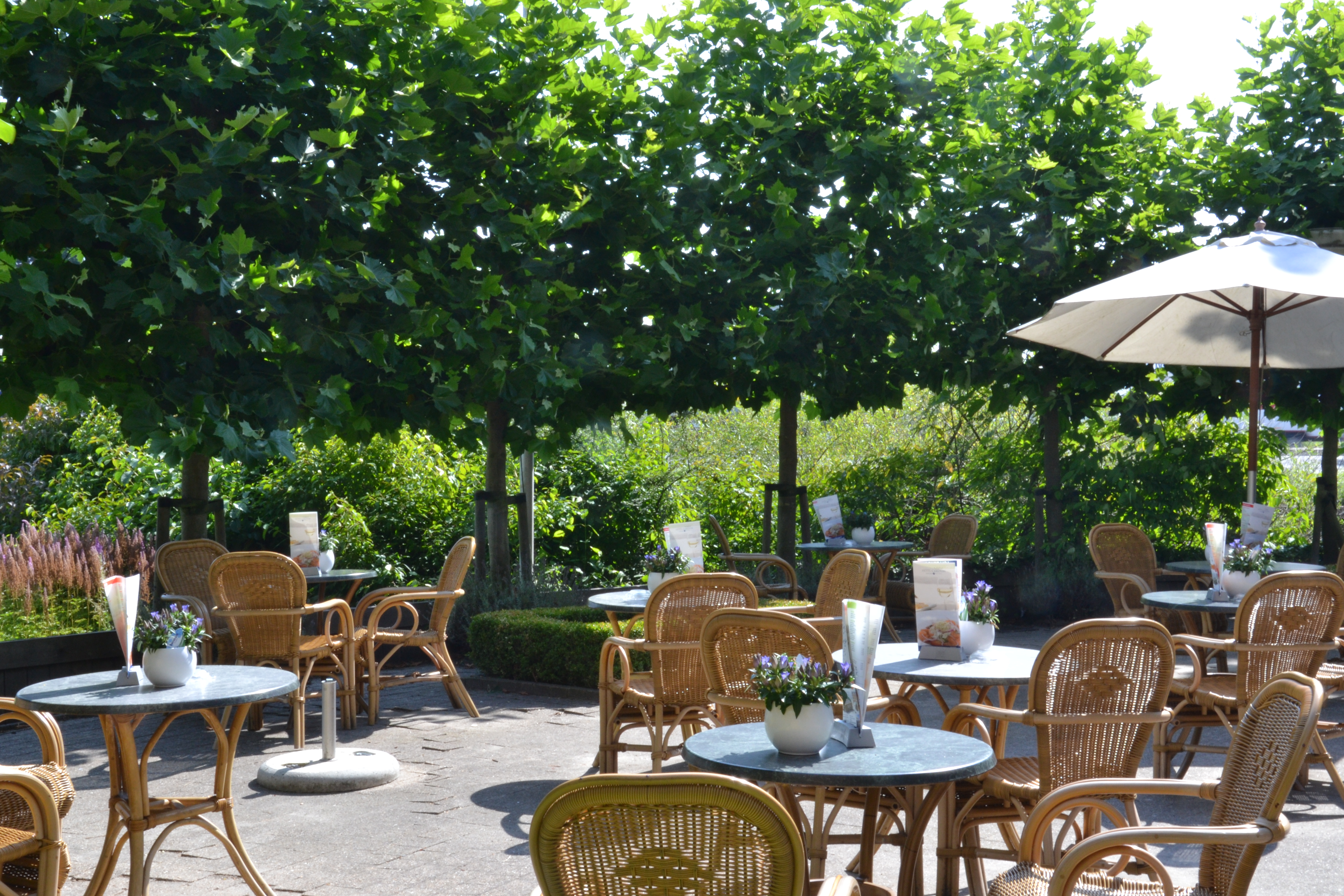 Fletcher Hotel-Restaurant Carlton