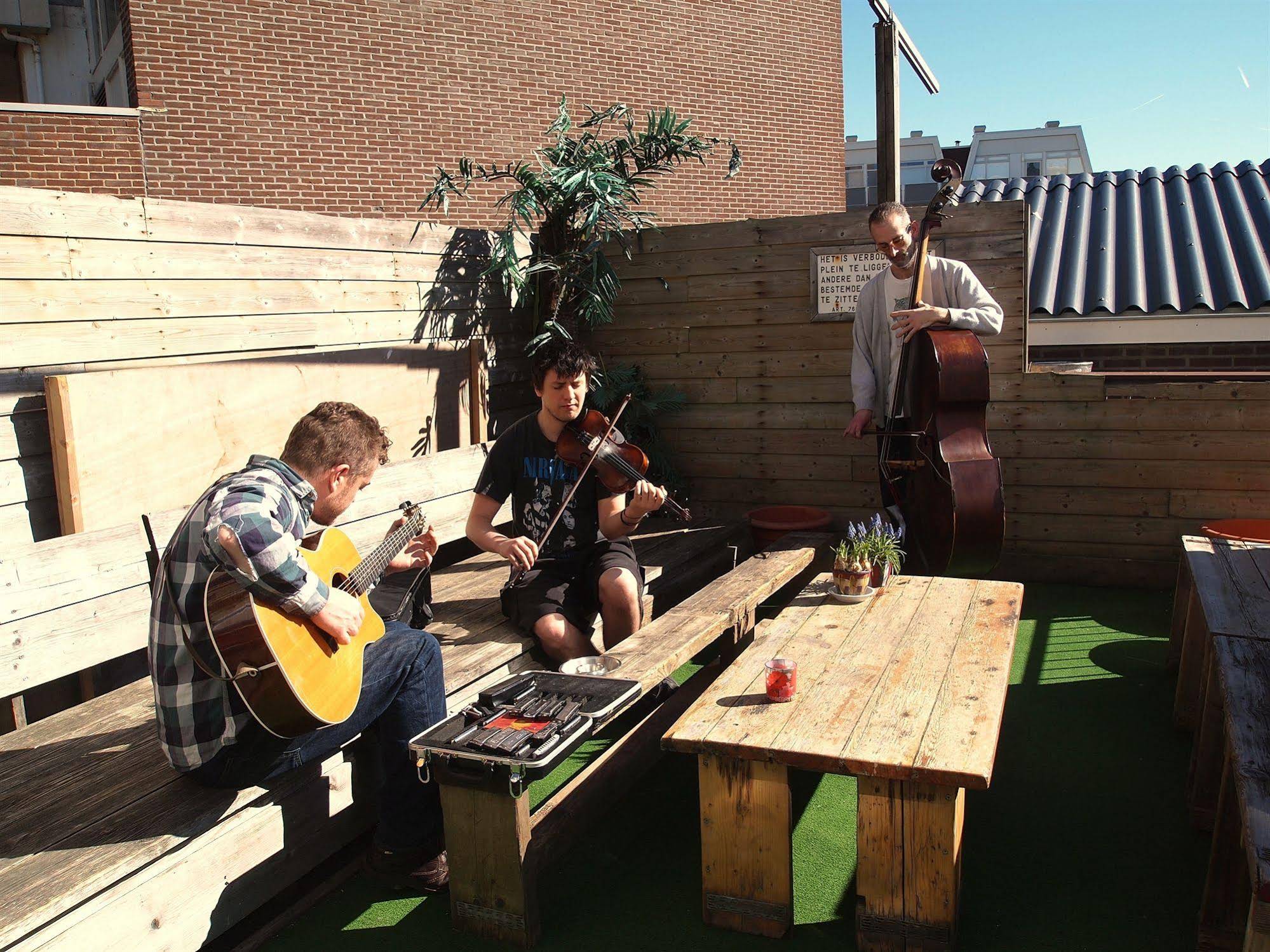 The Flying Pig Beach Hostel
