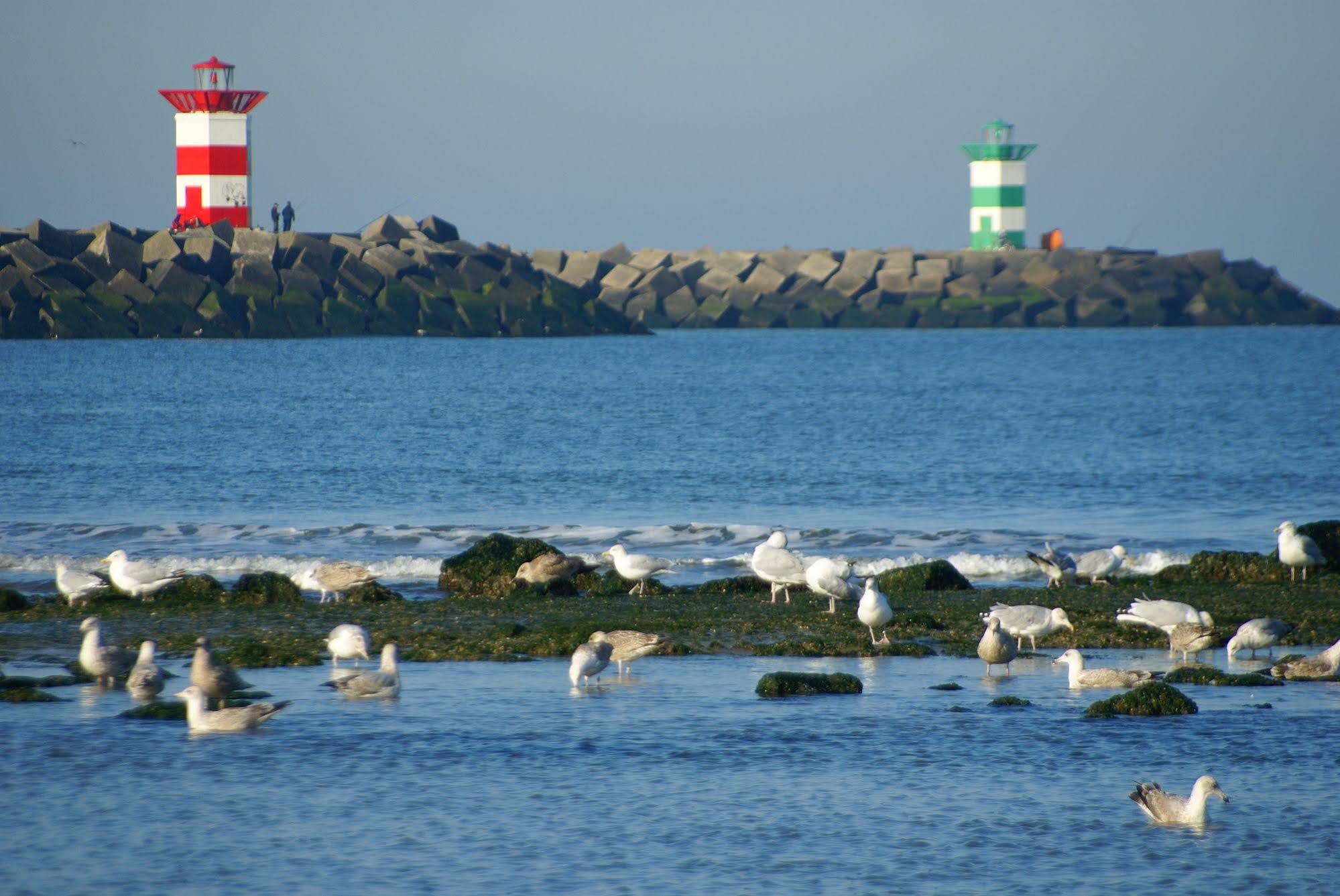 Boulevard Scheveningen