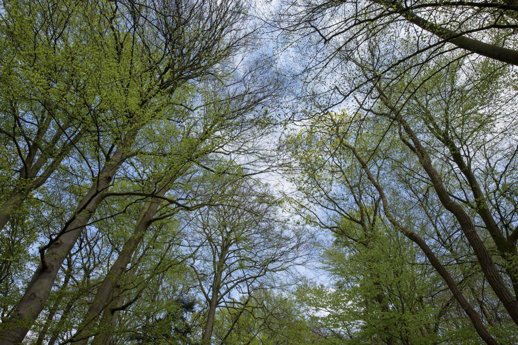 Landgoed de Horst