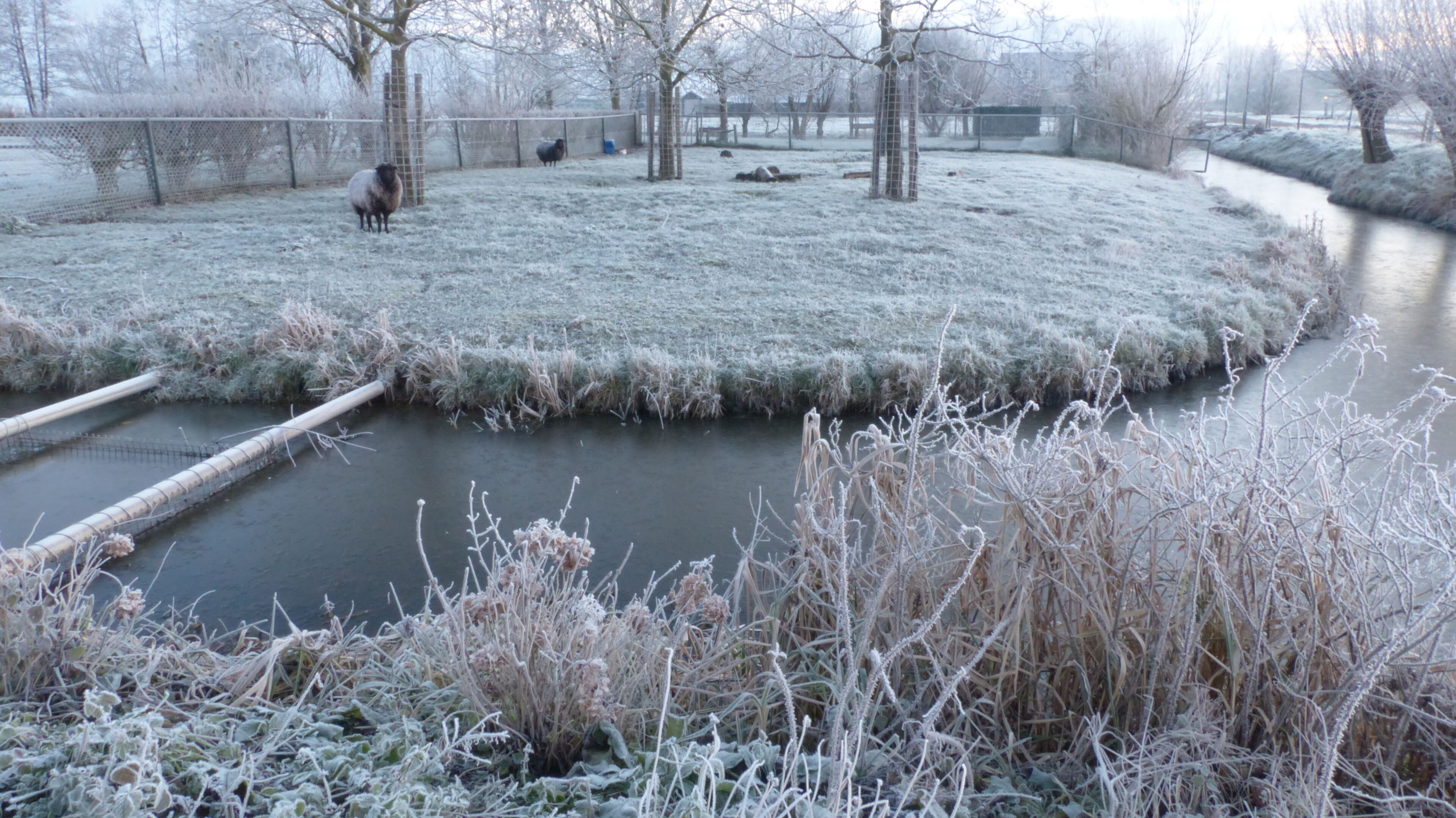 Boerderij Hazenveld