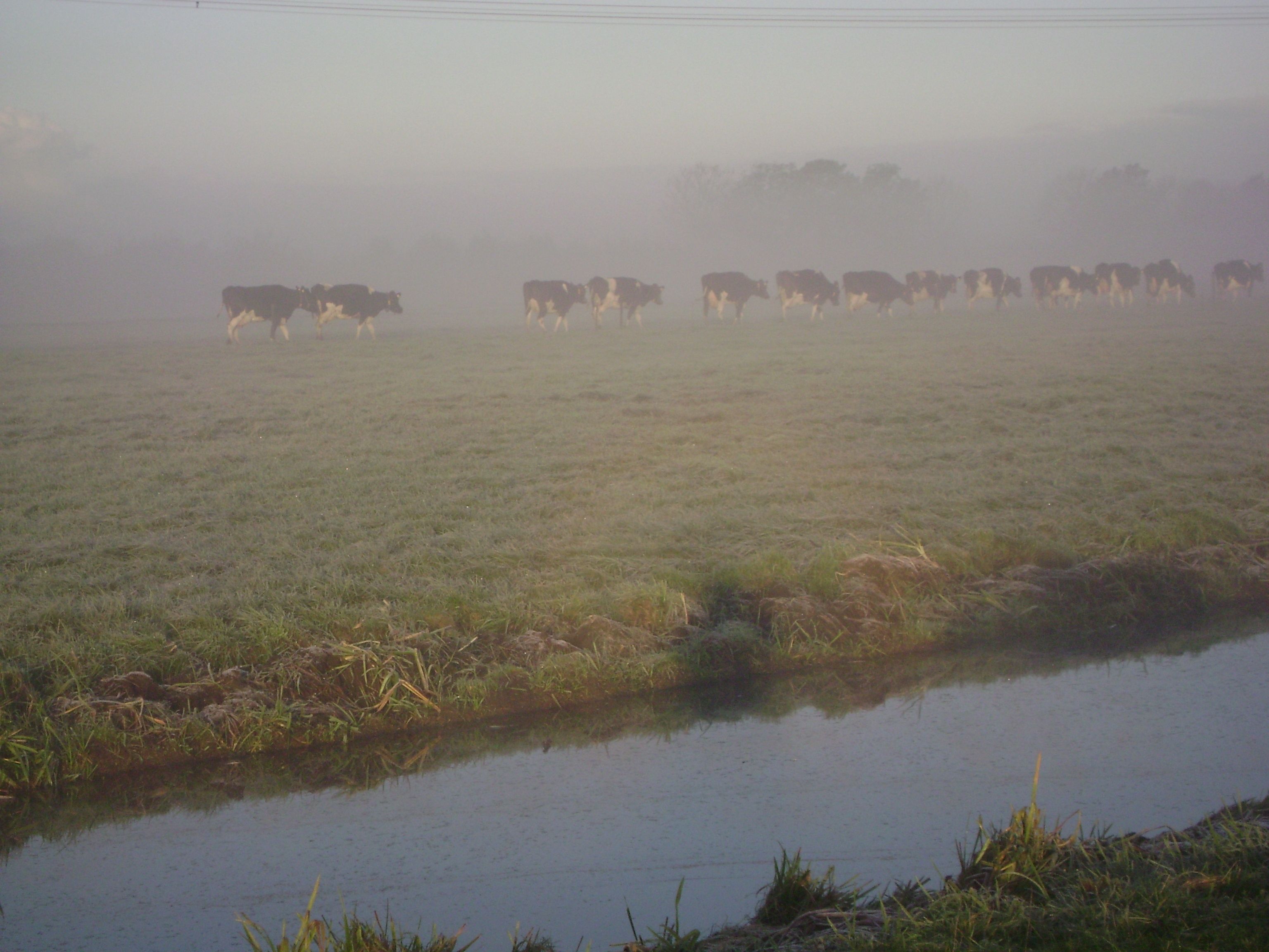 Boerderij Hazenveld