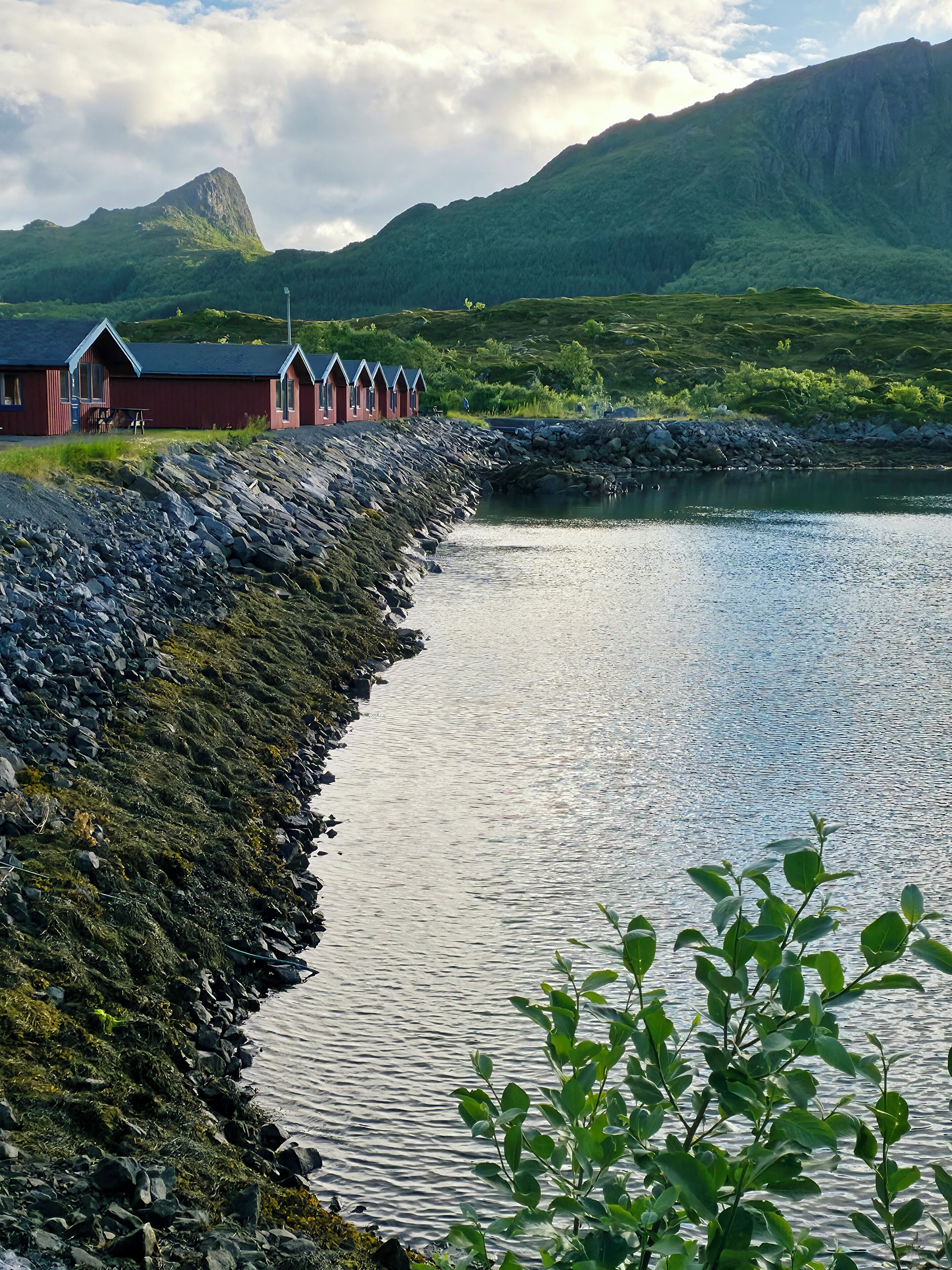 Fjordcamp