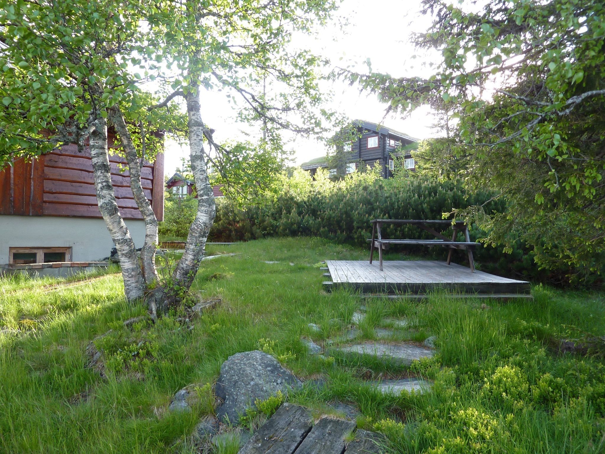 Solstua Lifjell
