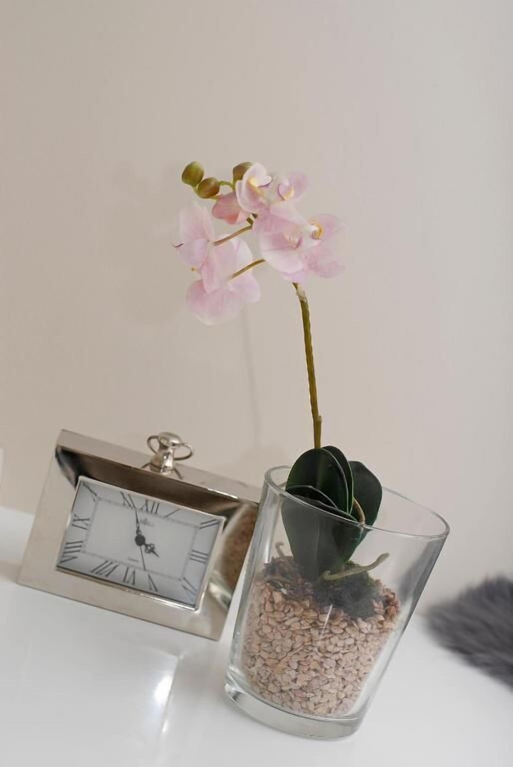 Romskog Spa & Resort