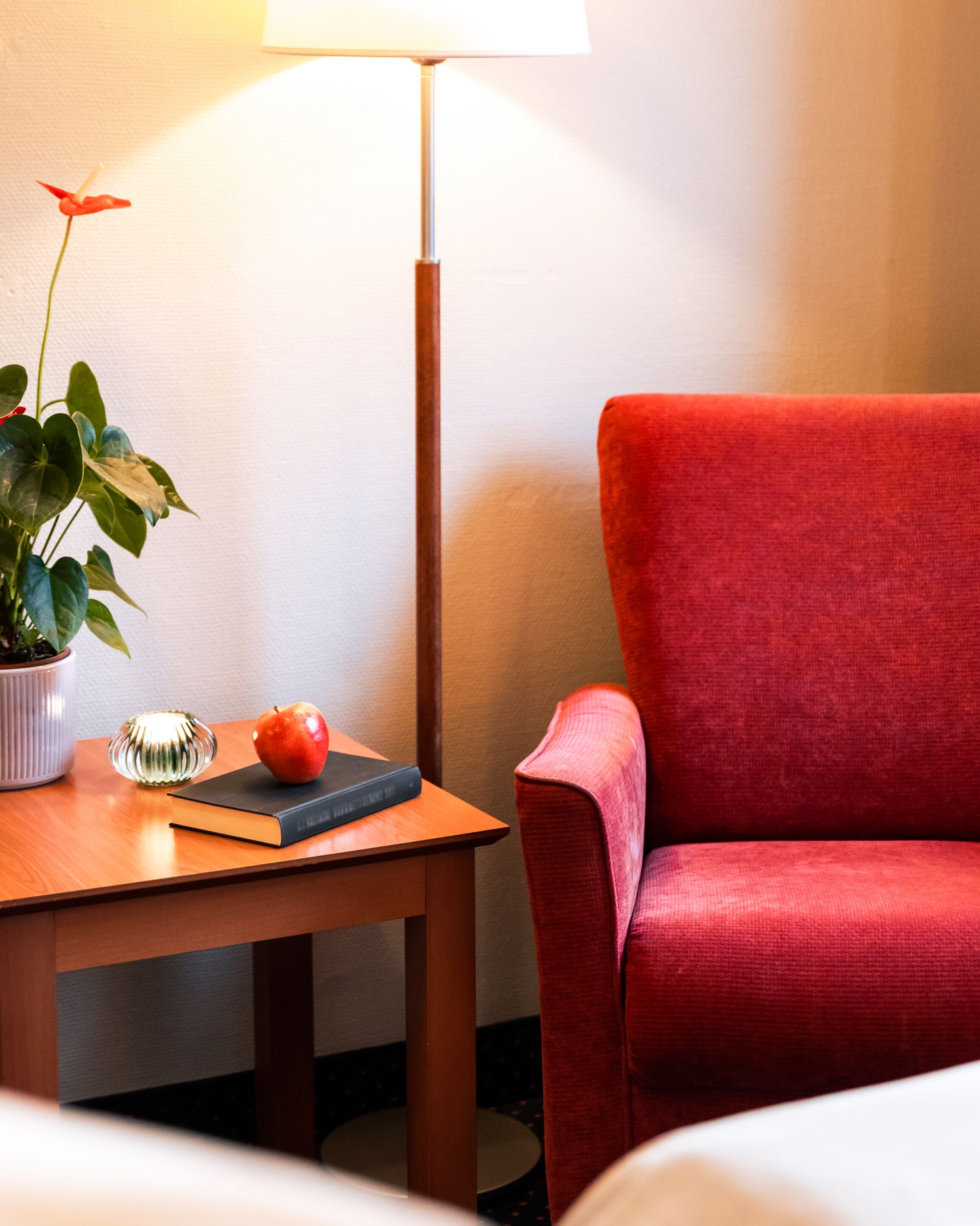 Frøken Skjolds Hotel