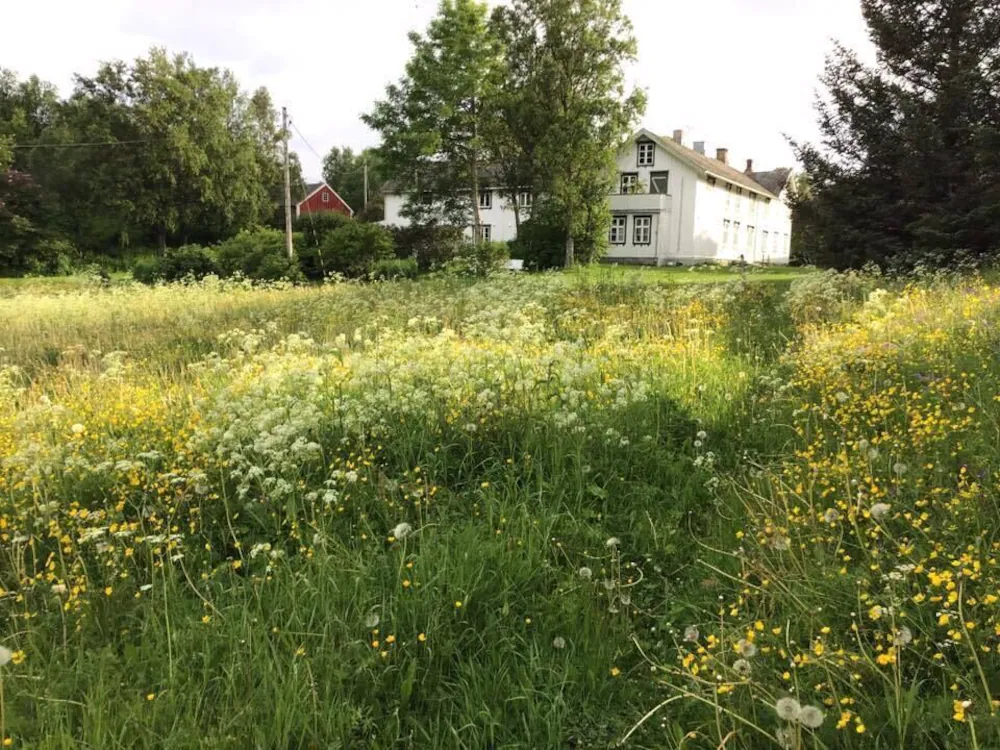 Skagen Gaard