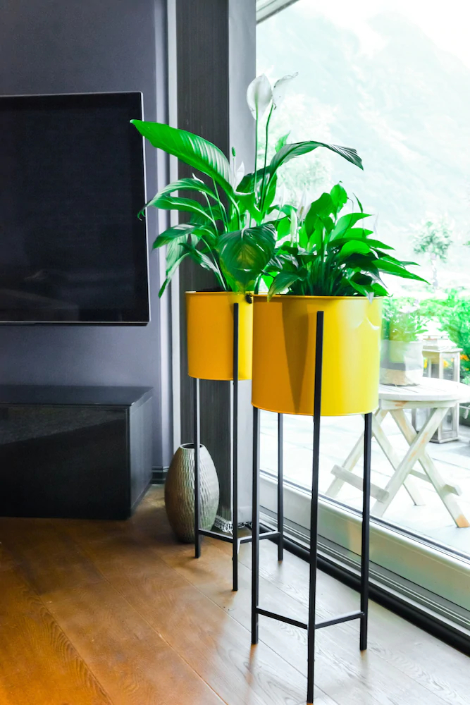 Ingrids Appartement