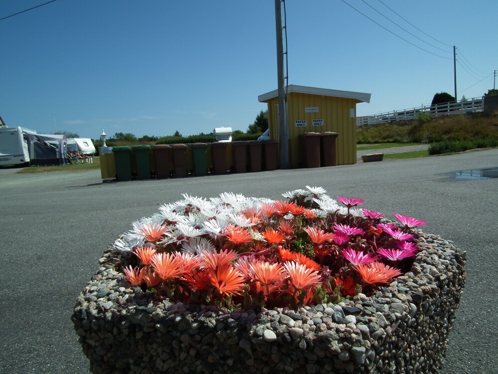 Skudenes Camping