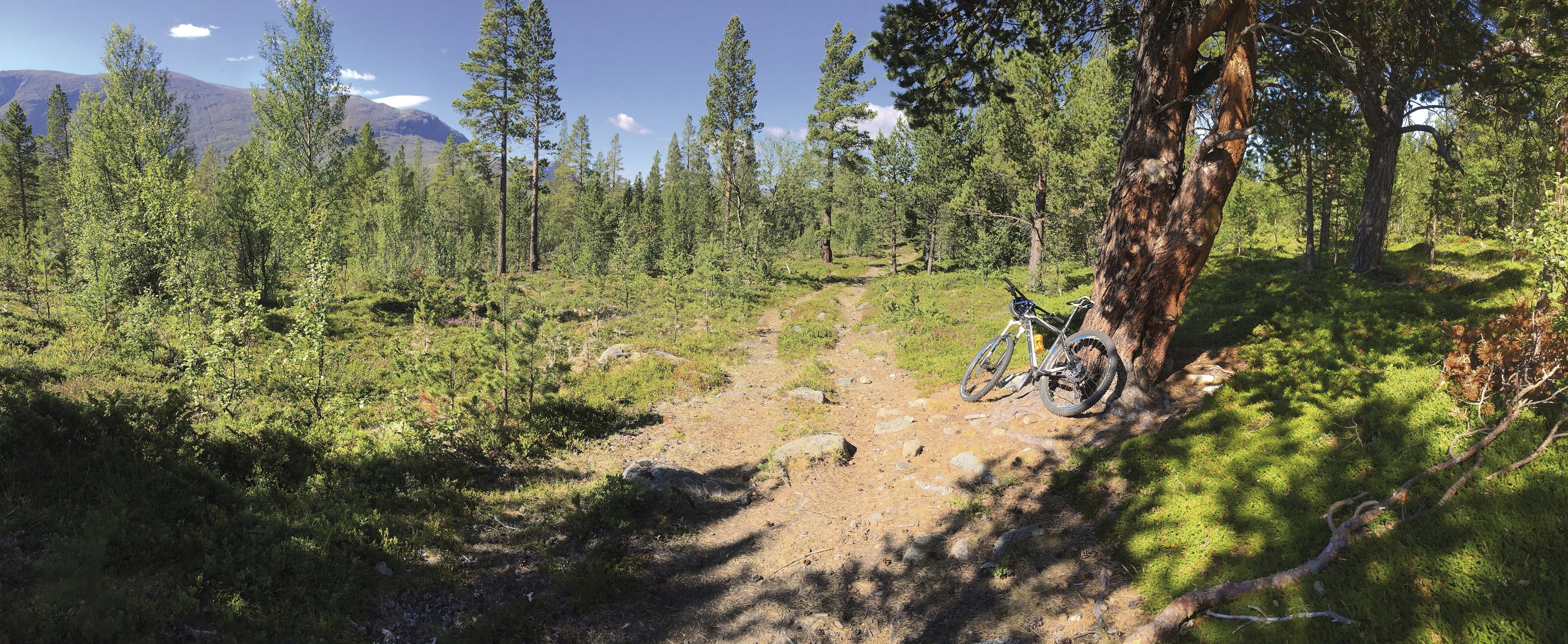 Randsverk Hytter i Lemonsjøen Fjellpark