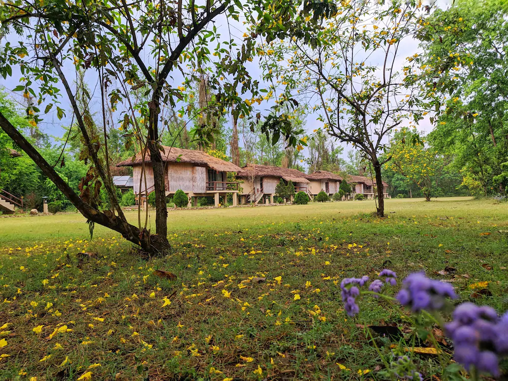 Temple Tiger Green Jungle Resort
