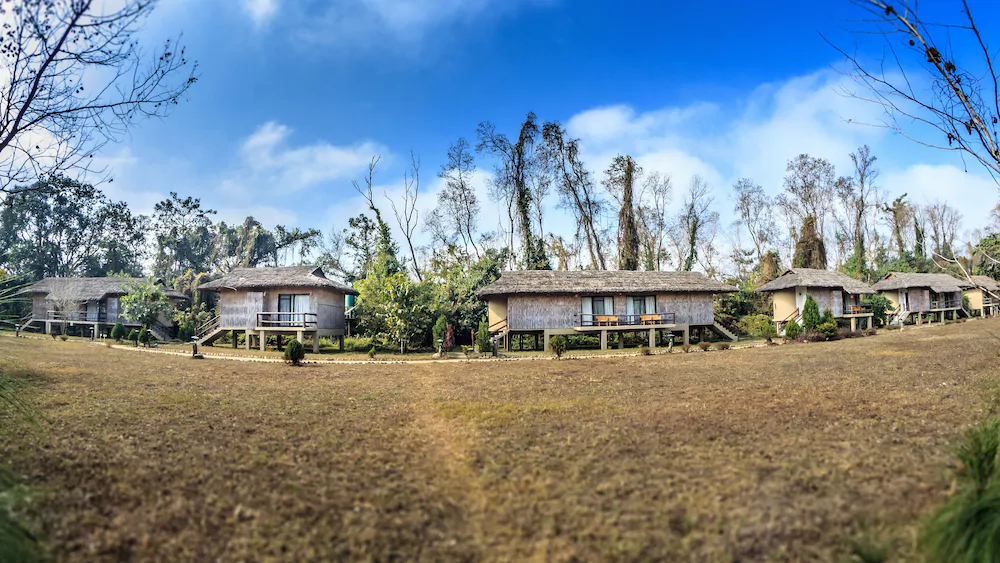 Temple Tiger Green Jungle Resort