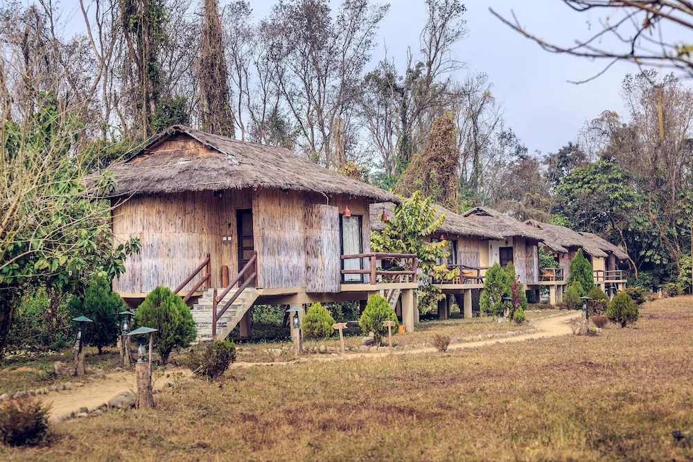 Temple Tiger Green Jungle Resort
