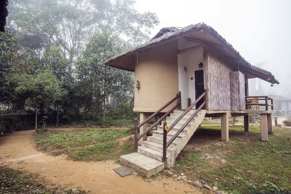 Temple Tiger Green Jungle Resort