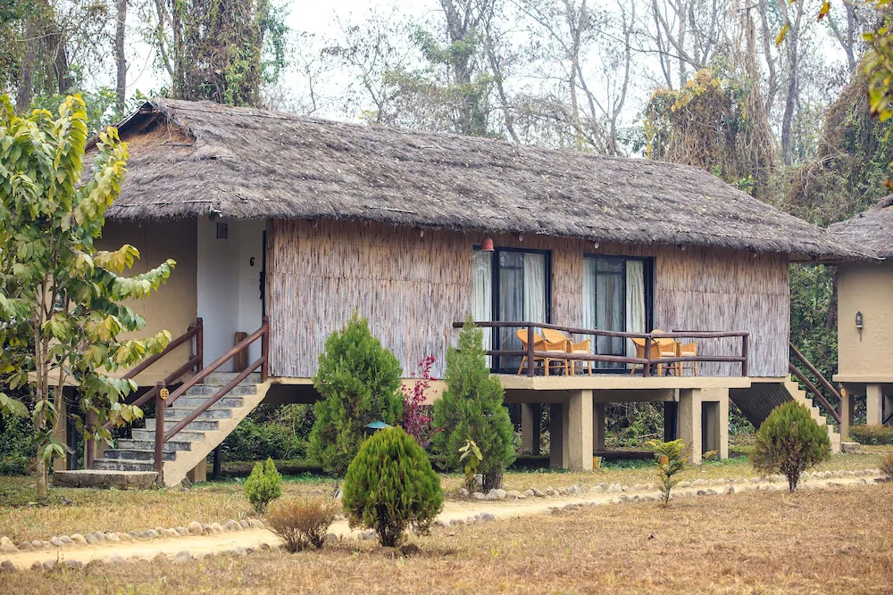 Temple Tiger Green Jungle Resort