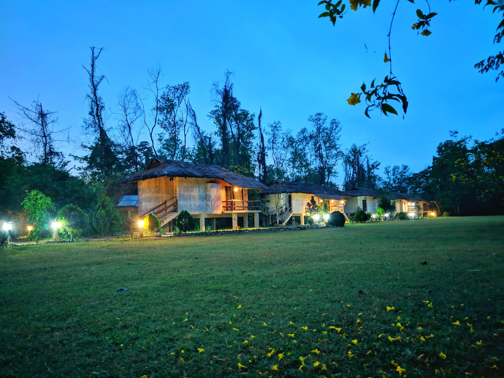 Temple Tiger Green Jungle Resort
