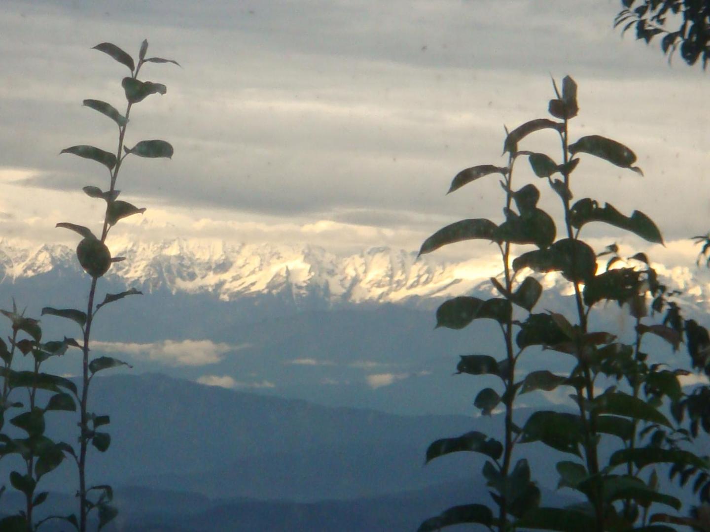 Shiva Guest House