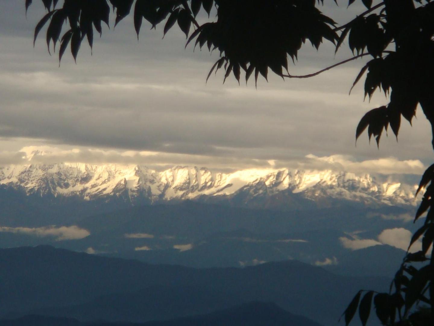 Shiva Guest House