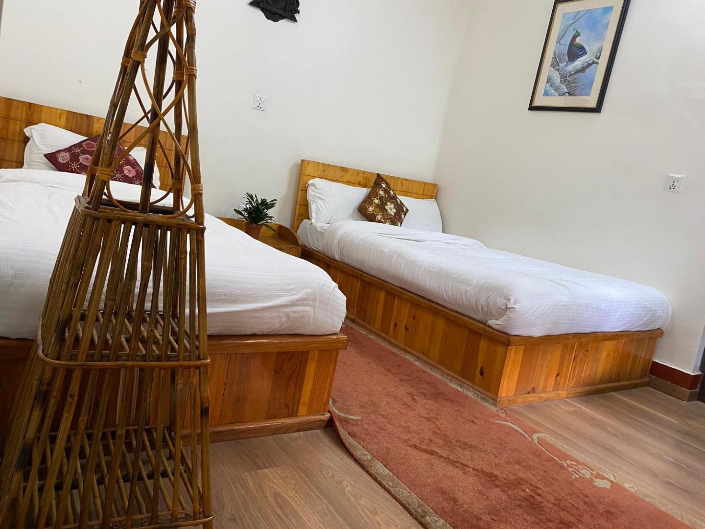 Birds Nest Hostel