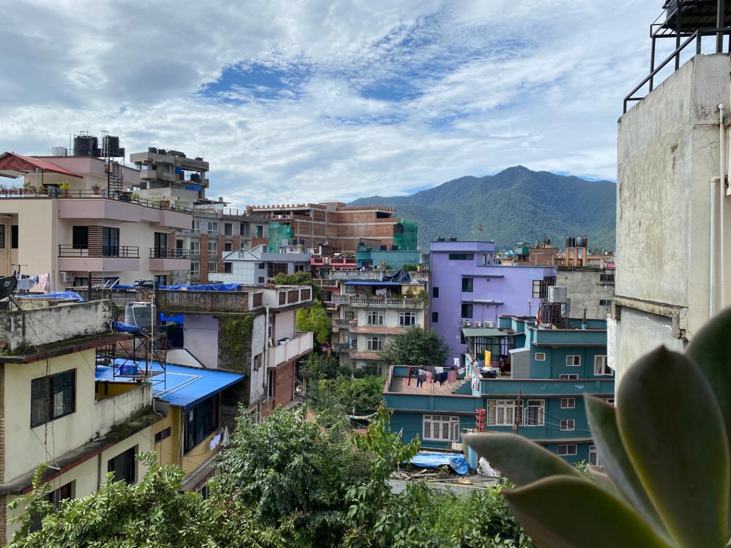 Birds Nest Hostel