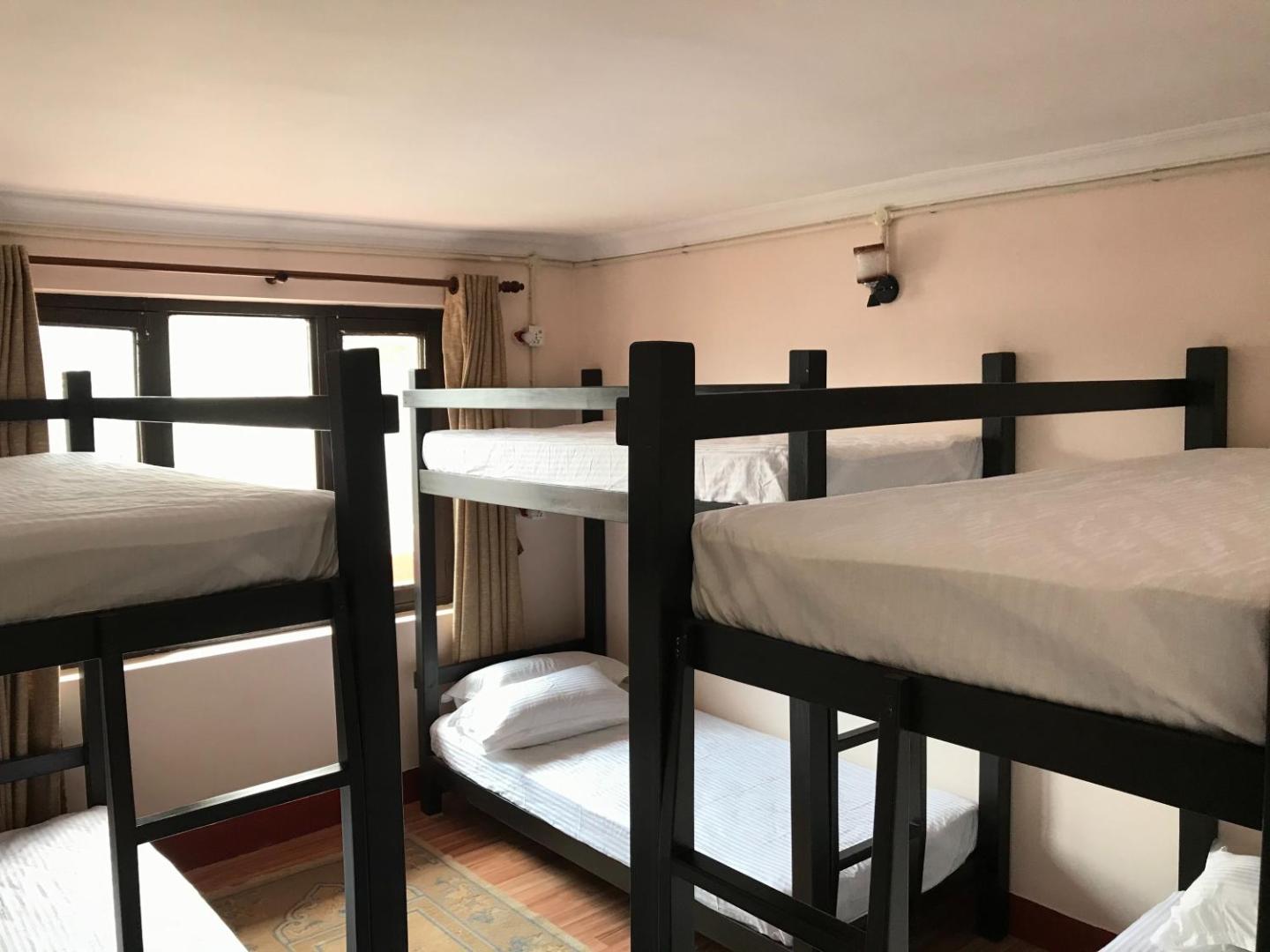 Birds Nest Hostel