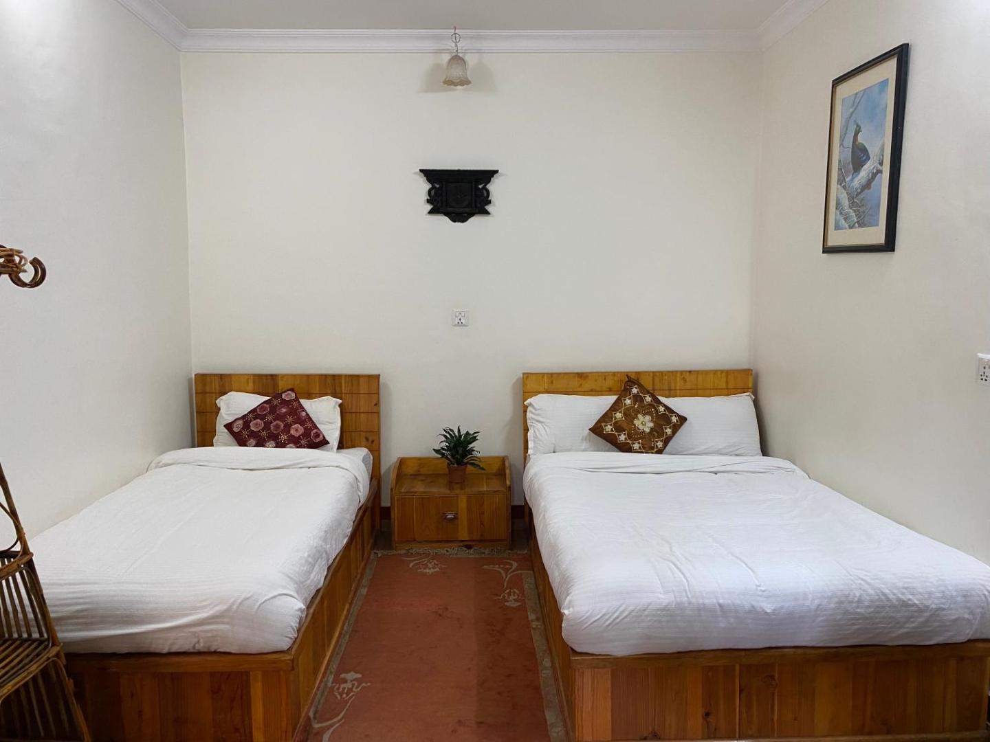 Birds Nest Hostel