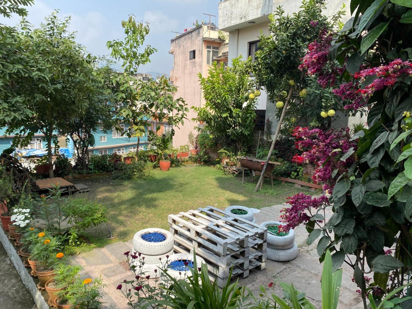 Birds Nest Hostel