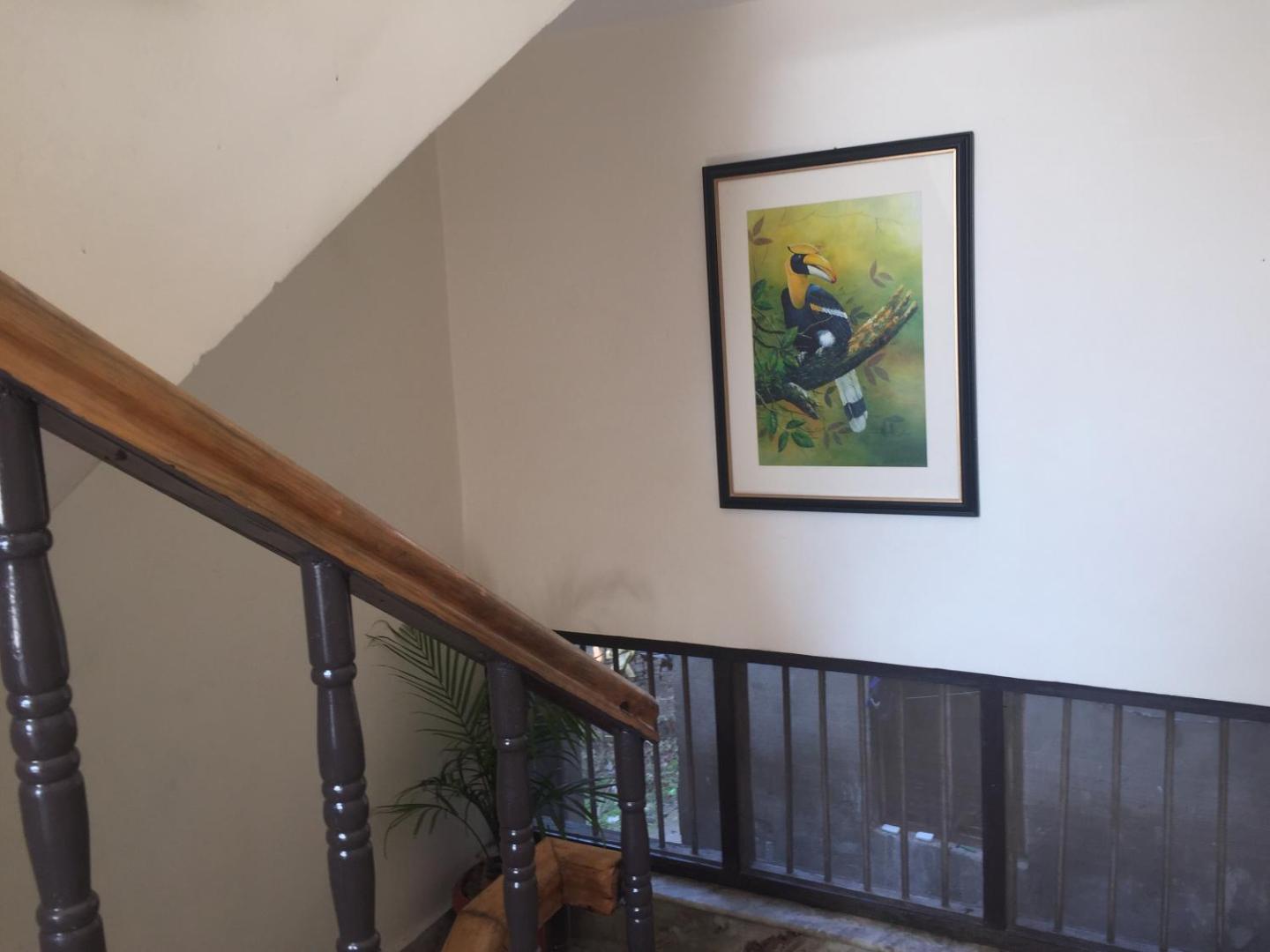 Birds Nest Hostel