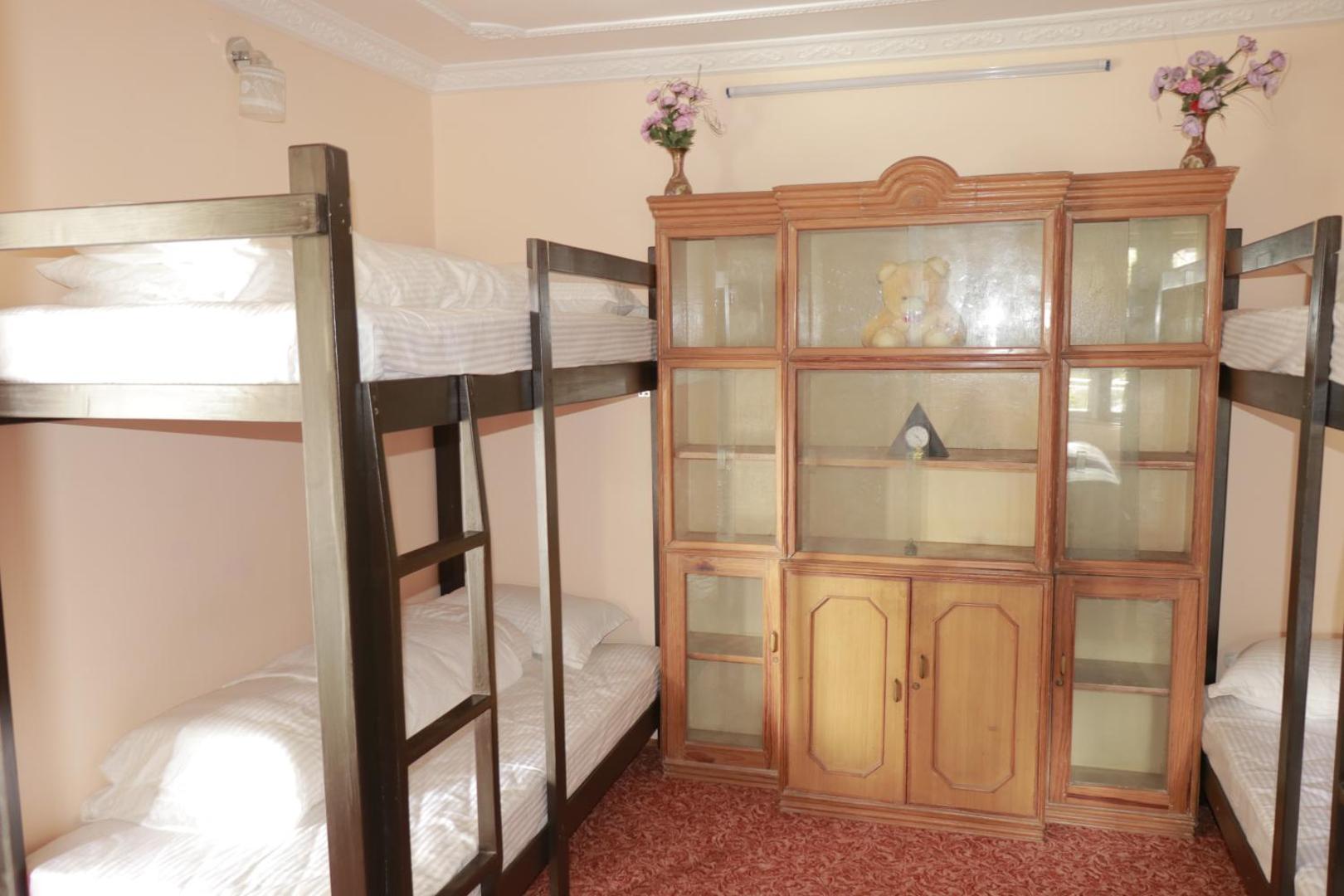 Birds Nest Hostel