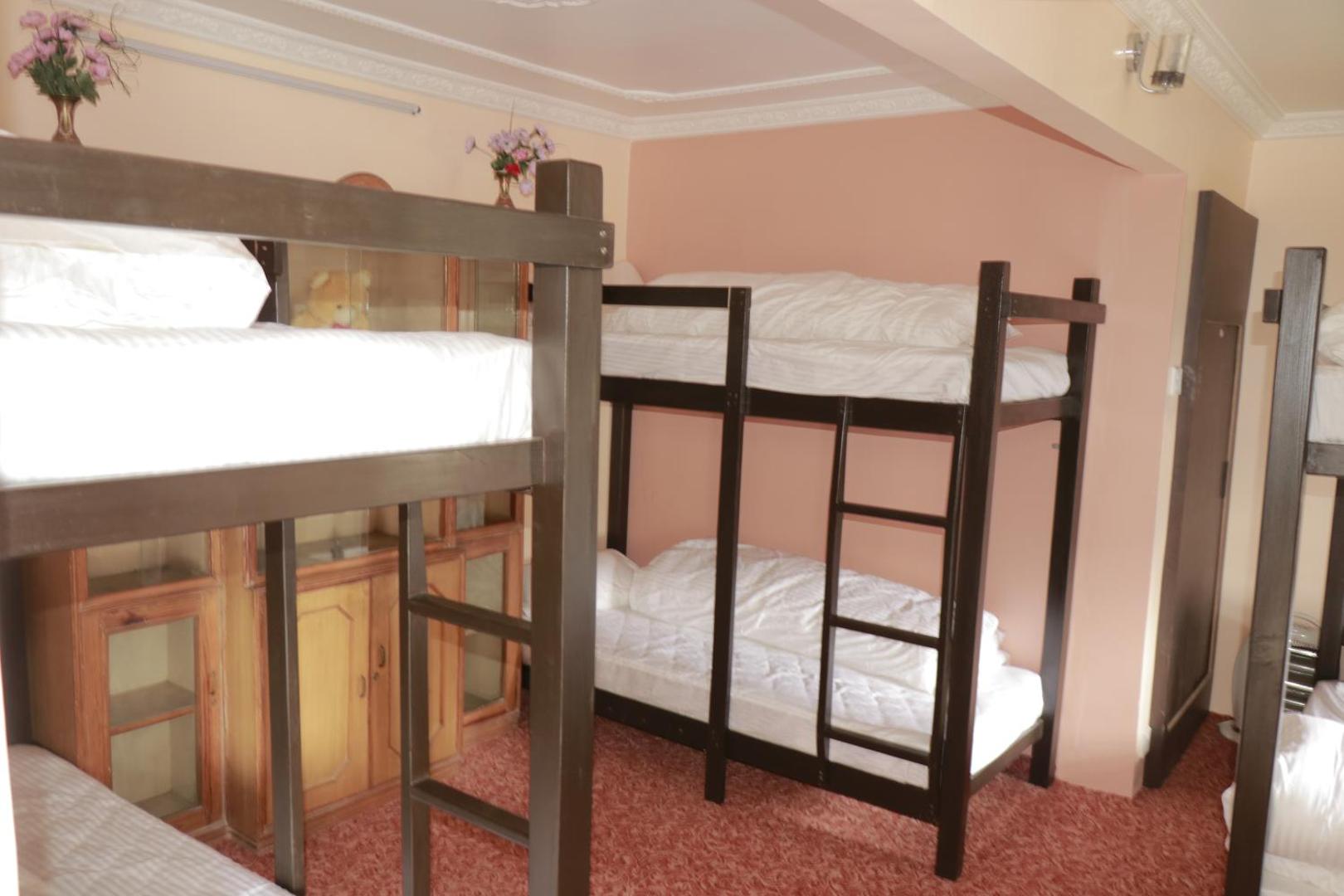 Birds Nest Hostel