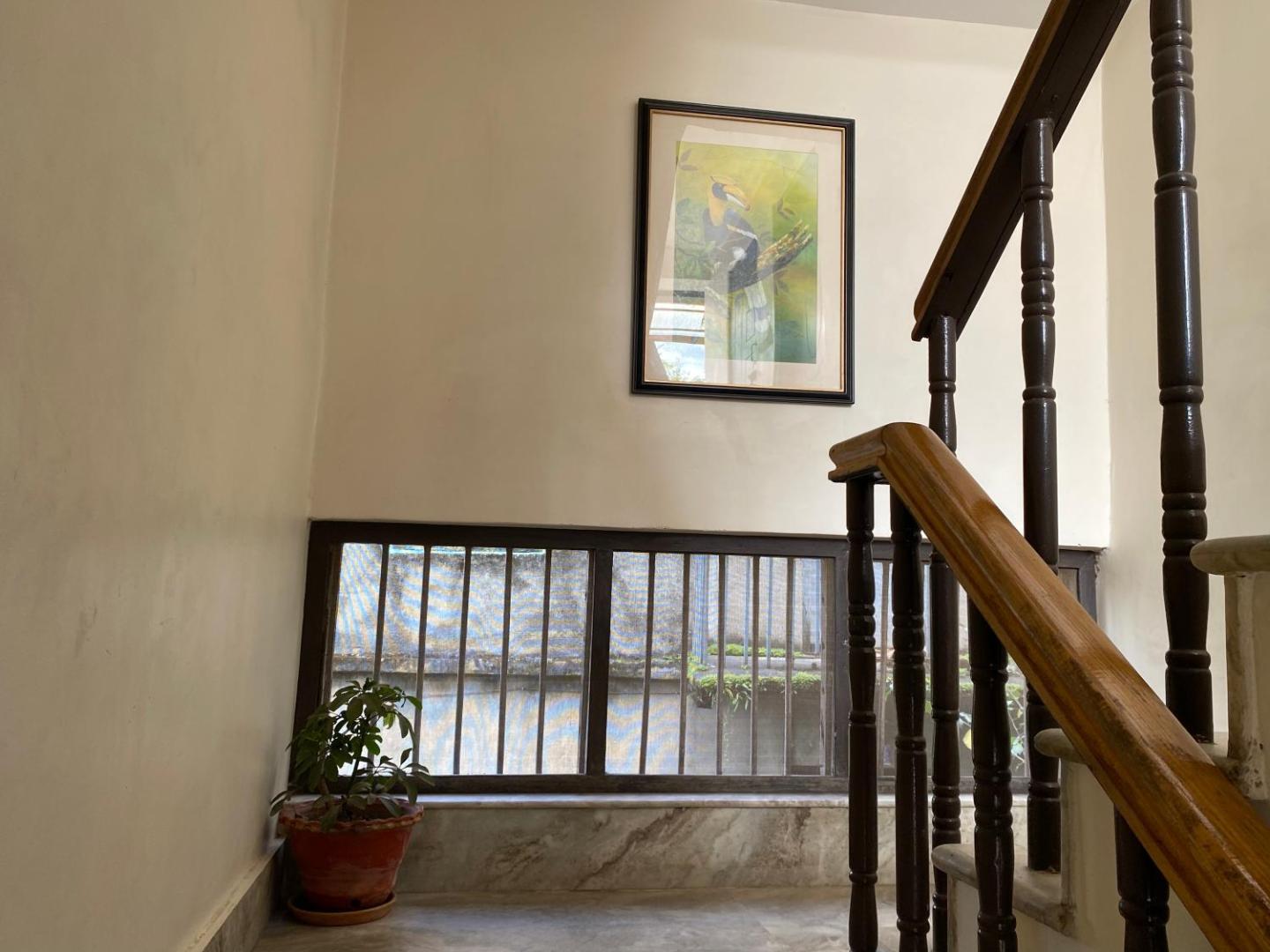 Birds Nest Hostel