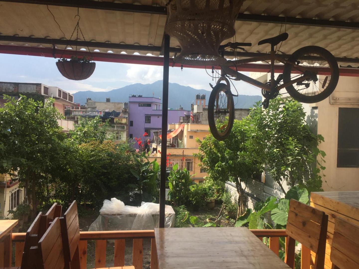 Birds Nest Hostel