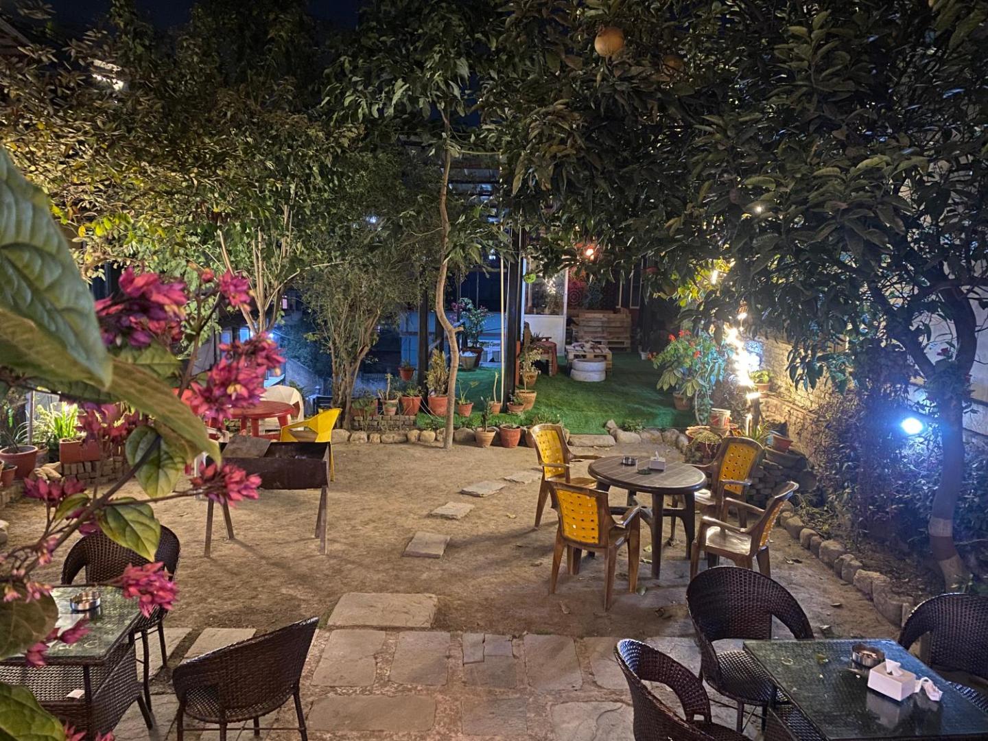 Birds Nest Hostel