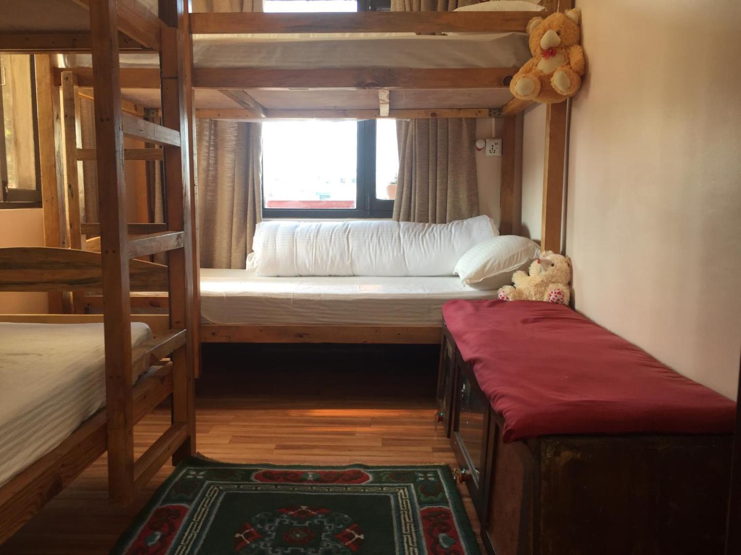 Birds Nest Hostel