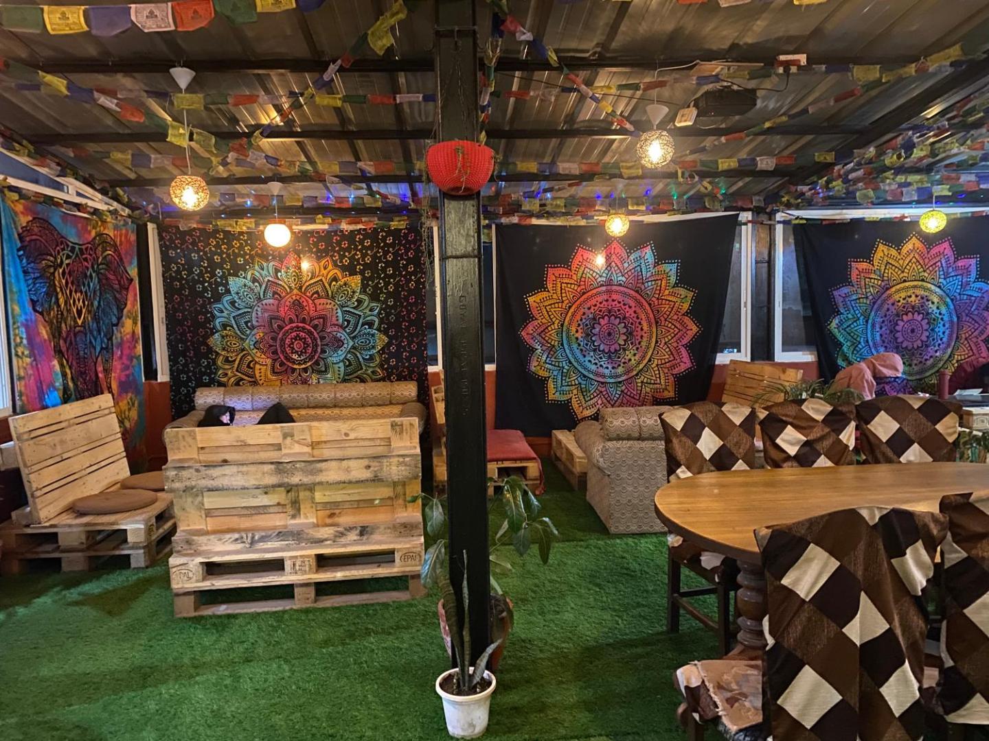 Birds Nest Hostel