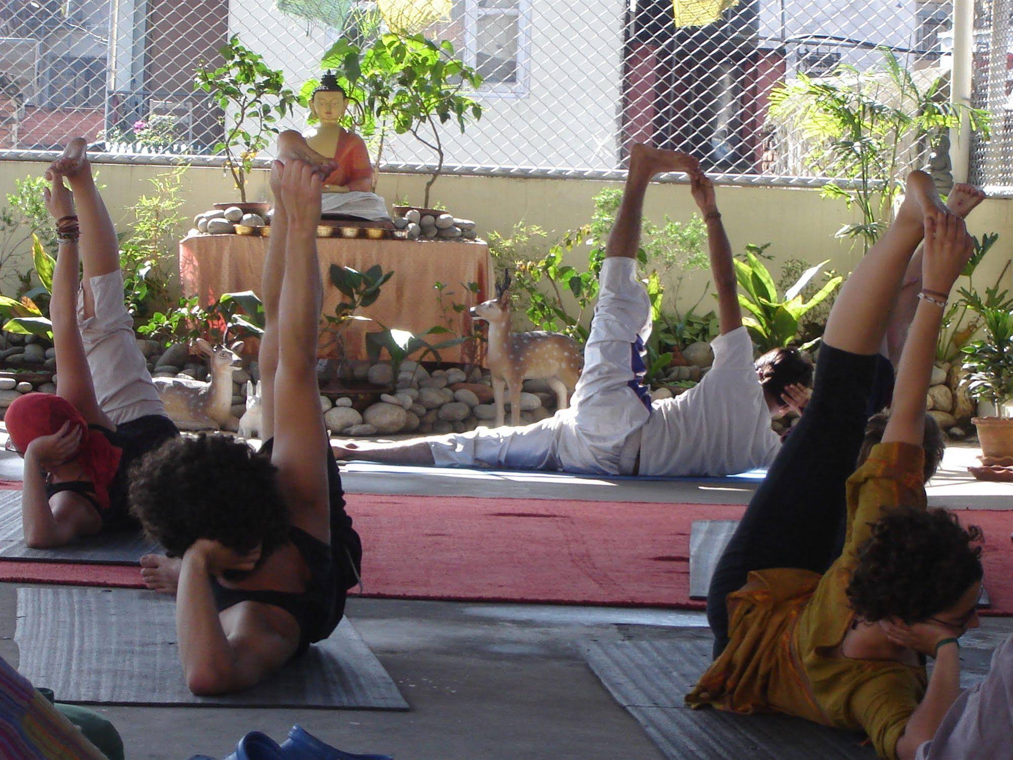 Hotel Himalaya Yoga