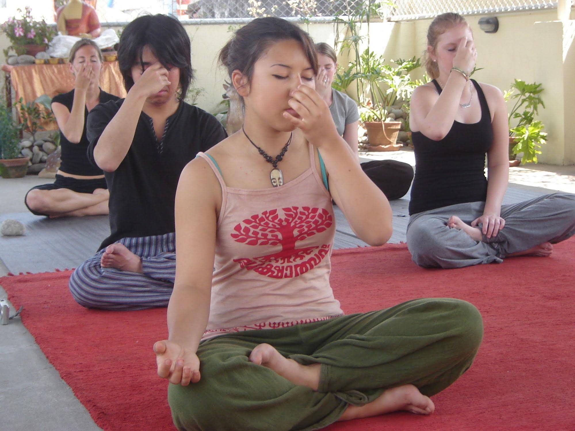 Hotel Himalaya Yoga