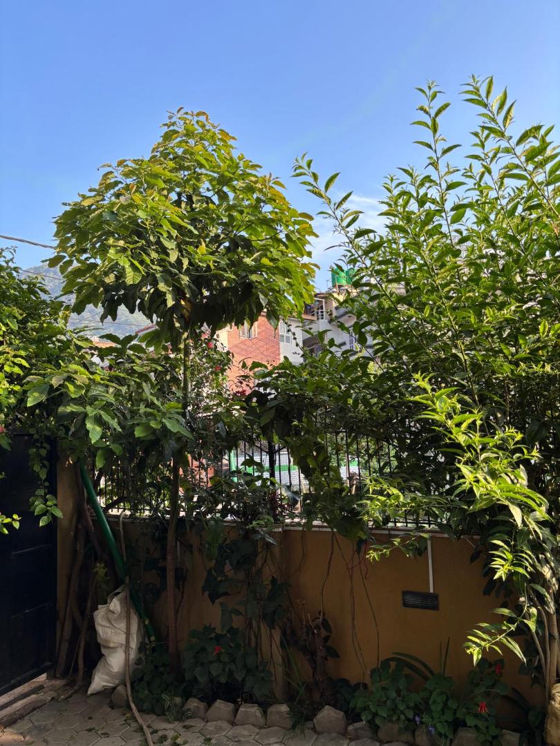 Mums Homestay & Studio Apartments
